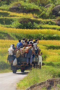 Toraja area, Sulawesi, Indonesia, Southeast Asia, Asia