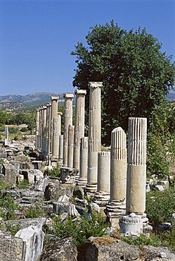 Columns, archaeological site, Aphrodisias, Anatolia, Turkey, Asia Minor