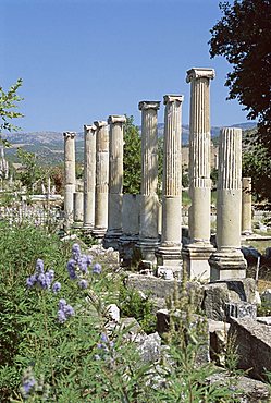 Columns, archaeological site, Aphrodisias, Anatolia, Turkey, Asia Minor