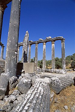 Ruins, archaeological site, Euromos, near Bodrum, Anatolia, Turkey, Asia Minor