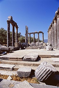 Ruins of the Temple of Zeus, archaeological site, Euromos, near Bodrum, Anatolia, Turkey, Asia Minor