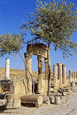 Archaeological site, Hierapolis, Pamukkale, UNESCO World Heritage Site, Anatolia, Turkey, Asia Minor