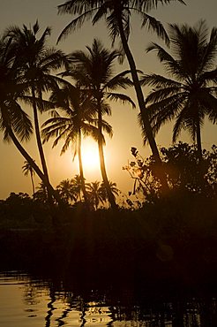 Backwater near Mobor, Goa, India, Asia