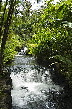 Tabacon Hot Springs, volcanic hot springs fed from the Arenal Volcano, Arenal, Costa Rica, Central America