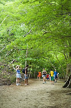 Visitors to Manuel Antonio National Park, Costa Rica, Central America