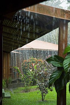 Torrential rain, Tortuguero National Park, Caribbean Coast, Costa Rica, Central America