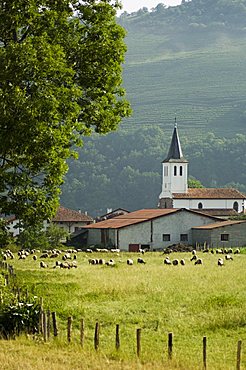 Countryside near Saint Jean Pied de Port (St.-Jean-Pied-de-Port), Basque country, Pyrenees-Atlantiques, Aquitaine, France, Europe