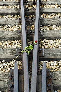 Tributes left to the dead at Auschwitz second concentration camp at Birkenau, UNESCO World Heritage Site, near Krakow (Cracow), Poland, Europe