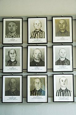 Pictures of Jews brought to Auschwitz concentration camp, near Krakow (Cracow), Poland, Europe