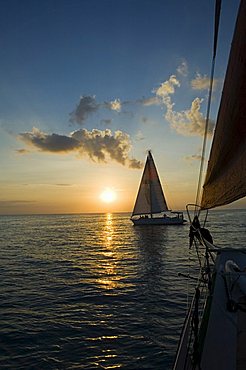 Sailboats at sunset, Key West, Florida, United States of America, North America