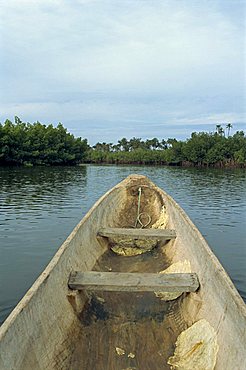 Makasutu, near Banjul, Gambia, West Africa, Africa