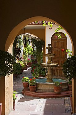 Typical courtyard, Oaxaca City, Oaxaca, Mexico, North America