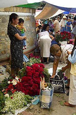 Market day at Zaachila, Oaxaca, Mexico, North America