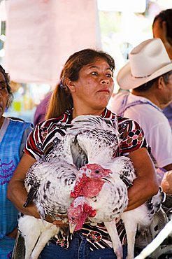 Turkeys for sale in the market, Zaachila, Oaxaca, Mexico, North America