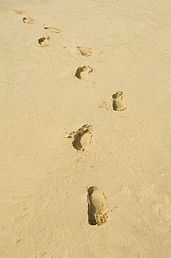 Praia de Santa Monica (Santa Monica Beach), Boa Vista, Cape Verde Islands, Atlantic, Africa