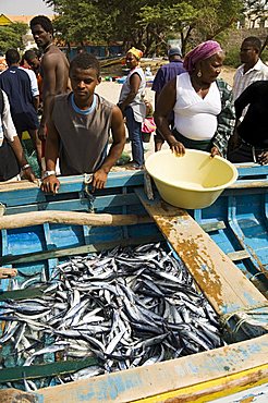 Fresh fish just caught, Tarrafal, Santiago, Cape Verde Islands, Africa