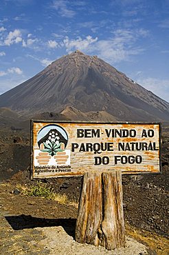 The volcano of Pico de Fogo in the background, Fogo (Fire), Cape Verde Islands, Africa