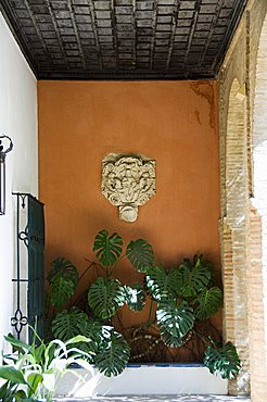 The gardens of the Real Alcazar, Santa Cruz district, Seville, Andalusia (Andalucia), Spain, Europe