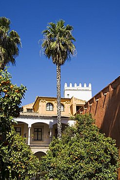 The gardens of the Real Alcazar, UNESCO World Heritage Site, Santa Cruz district, Seville, Andalusia (Andalucia), Spain, Europe