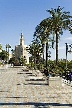 Torre del Oro, El Arenal district, Seville, Andalusia, Spain, Europe