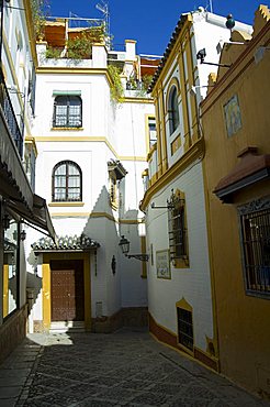 Plaza de la Alianza, Santa Cruz district, Seville, Andalusia, Spain, Europe