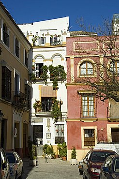 Santa Cruz district, Seville, Andalusia, Spain, Europe