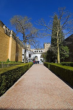 Patio del Leon, Real Alcazar, Santa Cruz district, Seville, Andalusia (Andalucia), Spain, Europe