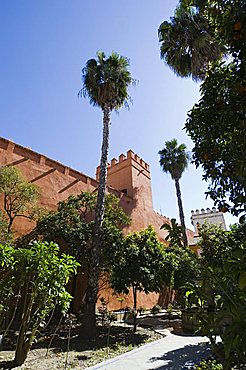 The gardens of the Real Alcazar, Santa Cruz district, Seville, Andalusia (Andalucia), Spain, Europe