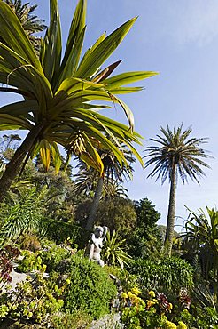 The Abbey Gardens, Tresco, Isles of Scilly, off Cornwall, United Kingdom, Europe