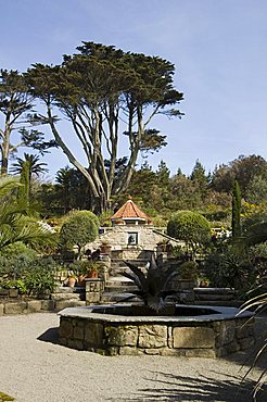 The Abbey Gardens, Tresco, Isles of Scilly, off Cornwall, United Kingdom, Europe