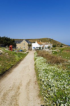 Bryer (Bryher), Isles of Scilly, off Cornwall, United Kingdom, Europe