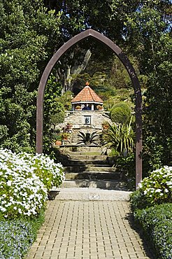 The Abbey Gardens, Tresco, Isles of Scilly, off Cornwall, United Kingdom, Europe