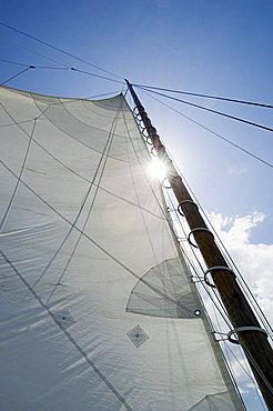 Rebecca T. Ruark, a famous historic Skipjack, the oldest in the U.S.A., Dogwood Harbour, Tilghman Island, Talbot County, Chesapeake Bay area, Maryland, United States of America, North America