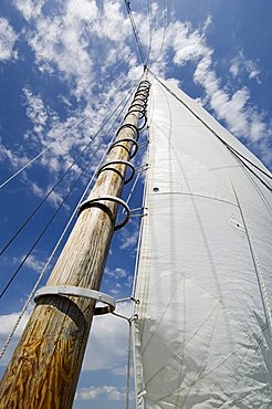 Rebecca T. Ruark, a famous historic Skipjack, the oldest in the U.S.A., Dogwood Harbour, Tilghman Island, Talbot County, Chesapeake Bay area, Maryland, United States of America, North America