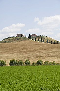 Typical views of the Tuscan landscape, Le Crete (The Crete), Tuscany, Italy, Europe