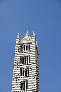 The Campanile, bell tower of the Duomo (Cathedral), Siena, Tuscany, Italy, Europe