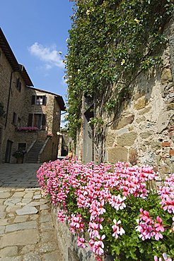 Volpaia, a hill village near Radda, Chianti, Tuscany, Italy, Europe