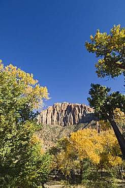 Landscape near Zion National Park, Utah, United States of America, North America