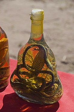 Snakes in bottles of spirits thought to have medicinal properties, Laos, Indochina, Southeast Asia, Asia