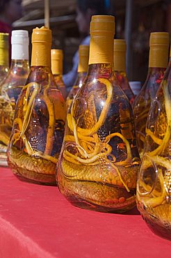 Snakes in bottles of spirits thought to have medicinal properties, Laos, Indochina, Southeast Asia, Asia