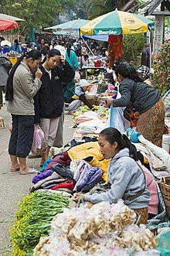 Morning food market, Luang Prabang, Laos, Indochina, Southeast Asia, Asia