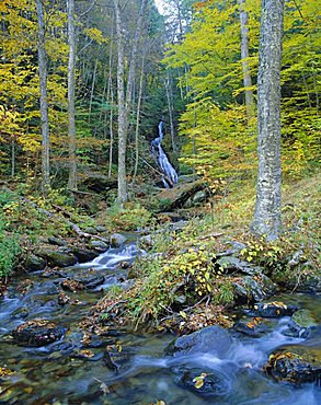 Moss Glen Falls, Green Mountain National Forest, Vermont, USA