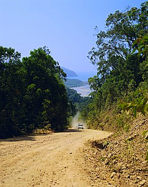 The Bloomfield Track, Cape Tribulation National Park, Queensland, Australia