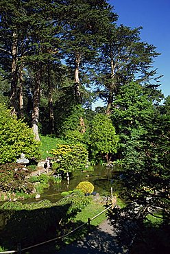 The Japanese Tea Garden in the Golden Gate Park, San Francisco, California, United States of America, North America