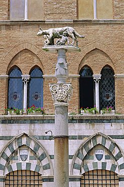 Statue of Romulus and Remus in the Piazza del Duomo, Siena, Tuscany, Italy, Europe