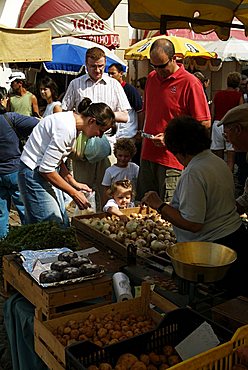 Fruit and vegetable stall in the market, Loule, Algarve, Portugal, Europe