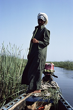 Grindly, Marshes, Iraq, Middle East