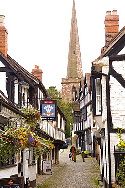 Ledbury, Herefordshire, England, United Kingdom, Europe