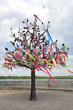 Wish Tree, Kiev, Ukraine, Europe