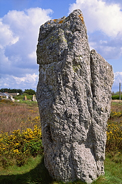 Lagatjar Alignment, near Crozon, Crozon Peninsula, Finistere, Brittany, France, Europe